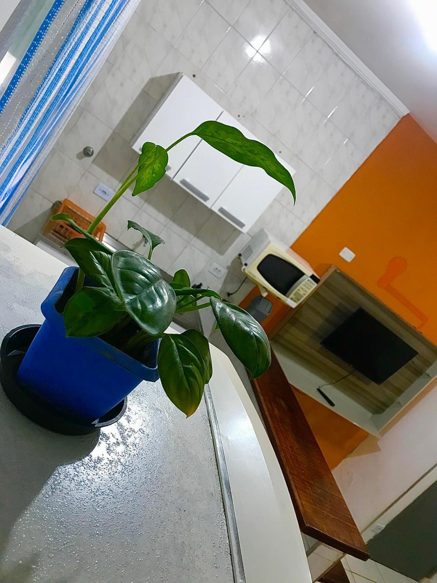 Apartment Ape Do Rafa 2 - Grande